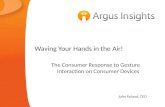 Wave Your Hands In the Air: Consumer Adoption of Gesture Interfaces