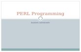 Perl programming