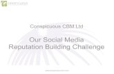 CCBM Reputation Building Social Media Challenge