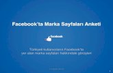 Facebook ve Markalar / 2012