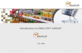 Ebeltoft Group Presentation