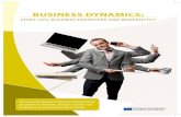 Business dynamics final report (english)