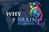 Why brain abundance