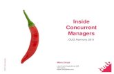 Internals of concurent managers