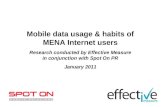 Mobile MENA Internet users Survey