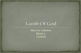 Lamb of God Power Point Project