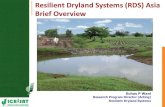 Resilient dryland systems  -A brief overview (Asia)