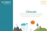 The UN Intergovernmental Panel on Climate Change (IPCC) Fifth Assessment Report (AR5): Implications for Business
