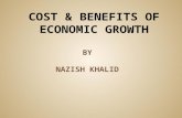 Cost and benefits of economic growth