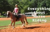Everything about horse riding