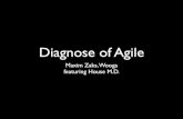 Diagnose of Agile @ Wooga 04.2013