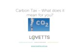 Carbon tax. impacts on businesses and individuals