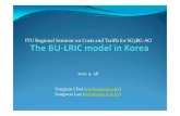 The BU-LRIC model and S/W system developed in Korea