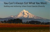 You Can't Always Get What You Want: Seeking, and Achieving, Urban Forest Species Diversity