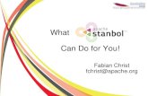 What Apache Stanbol Can Do for You