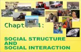 Chapter 4  Social  Structure &  Social  Interaction