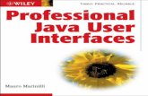 Professional Java User Interfaces (2006)