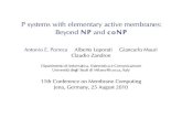 P systems with elementary active membranes: Beyond NP and coNP