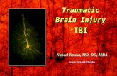 Traumatic Brain Injury - TBI