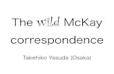 The wild McKay correspondence
