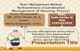 Coordinated Management of Meaning Theory