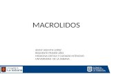 Macrolidos farmacologia clinica