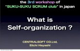 What is Self-organization ?