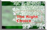 The Right Choice Ppt 09