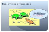 Implications of variation adaptation and natural selection