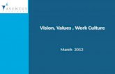 Vision Values and Work Culture -Aventus Partners