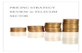 Pricing Strategy Review in Telecom Sector (2)