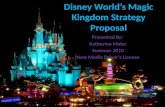 Disney World’s Magic Kingdom Strategy Proposal