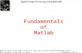 Digital image processing using matlab (fundamentals)