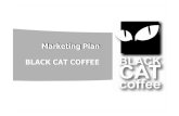 Black Cat Marketing Plan