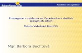 Propagace a reklama na facebooku a dalších sociálních sítích   1.0 - valašské meziříčí