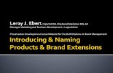 Introducing & naming products & brand extensions chapter 12 by Leroy J. Ebert