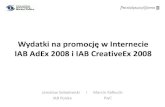 2008 Wydatki Na Reklame W Internecie IAB Adex