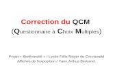 Correction Du Qcm Affiches Yann Arthus Bertrand