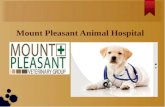 Mount Pleasant Animal Hospital