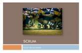 Agiles Software-Projektmanagement mit SCRUM