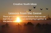 Youth Ministry Illustrations: Lessons From the Geese