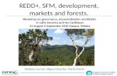 REDD+, SFM, development, markets and forests