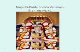 Tirupathi brahmotsavam-1