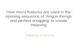 Understanding of micro features