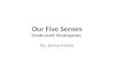 The Five Senses Powerpoint