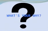 What's your why (3)