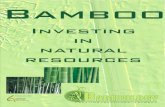 Guadua Bamboo brochure investment