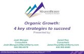 Organic Growth: 4 key strategies to succeed