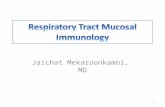 Respiratory mucosal immunity