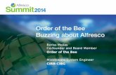 Order Of the Bee introduction at Alfresco Summit 2014